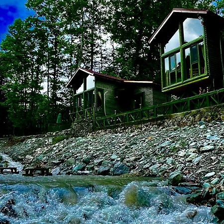 Vila Doga Su Minimal Evler Sapanca Exteriér fotografie